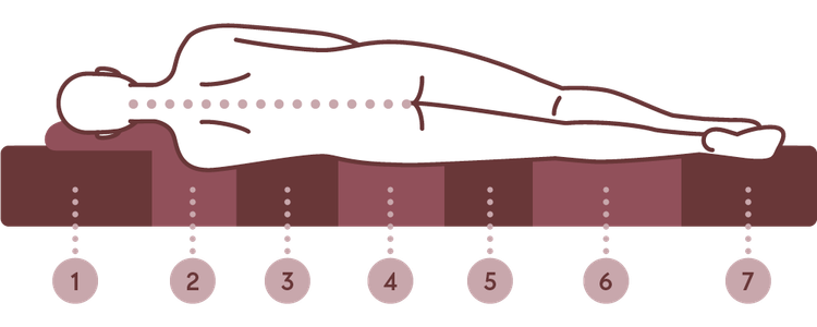 Illustration einer Matratze mit sieben Liegezonen zur ergonomischen Unterstützung der Wirbelsäule in Seitenlage.